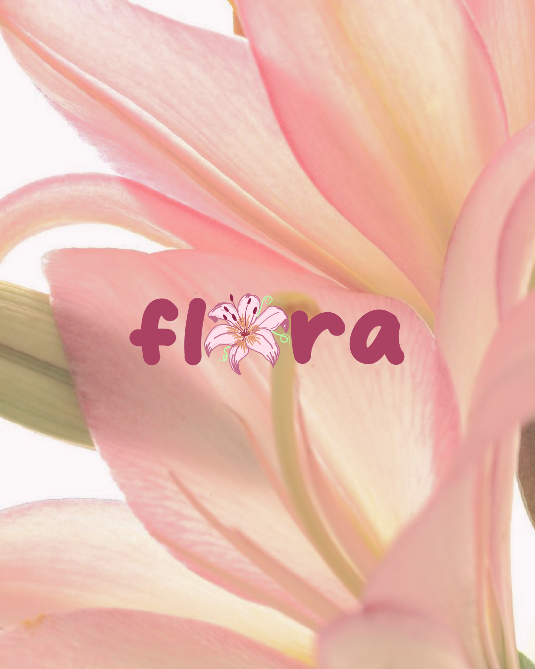 Brand identity project